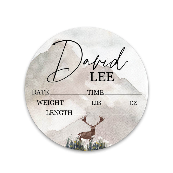 David Lee Watercolor Mountain Birth Stat