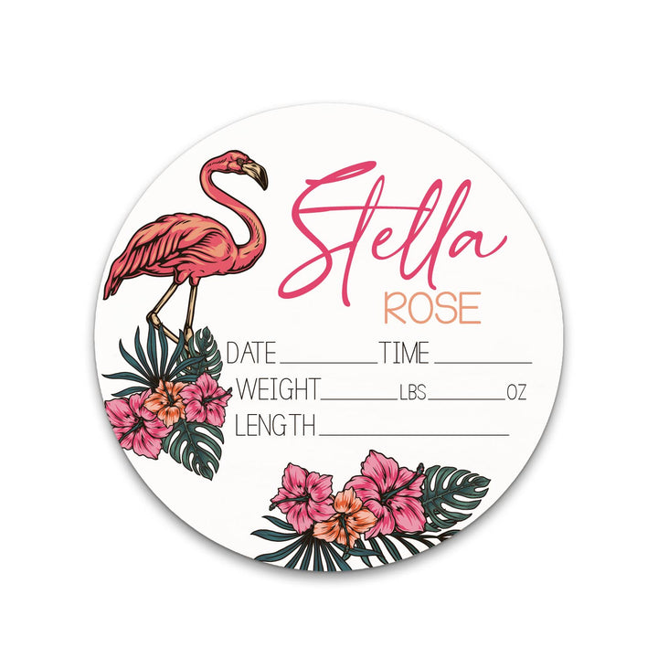 Stella Rose Flamingo Birth Stat