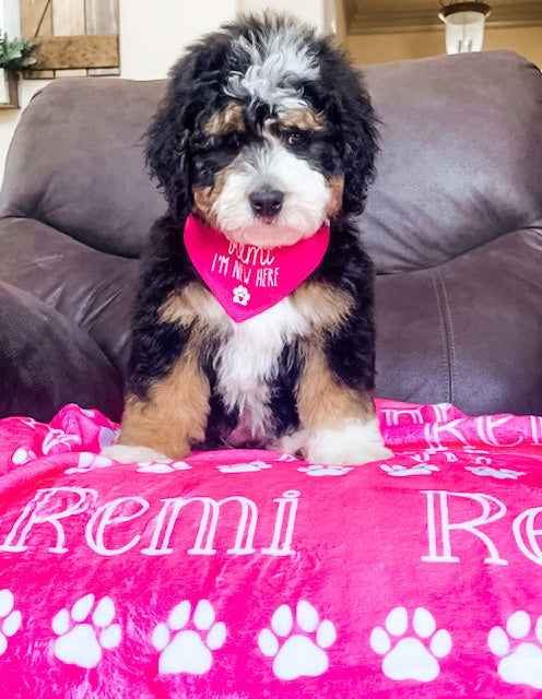 Personalized Pet Name Blanket